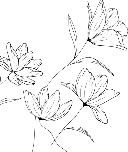 Dermaplaning Training - Dermaplaning is the one of the most
popular exfoliating treatments,
involving a surgical blade. This
course will take your skin care
treatments to the next level. 