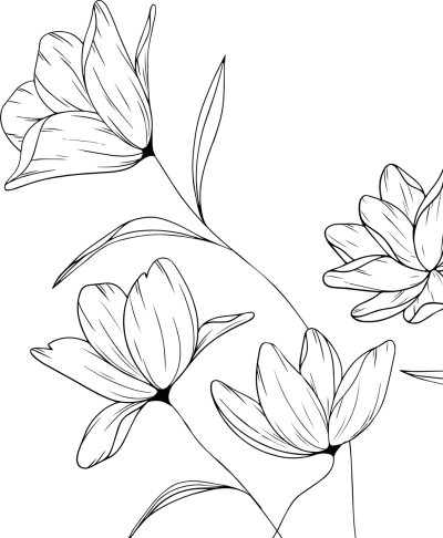 Dermaplaning Training - Dermaplaning is the one of the most
popular exfoliating treatments,
involving a surgical blade. This
course will take your skin care
treatments to the next level. 